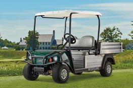 carryall 502 turf 263x175 1