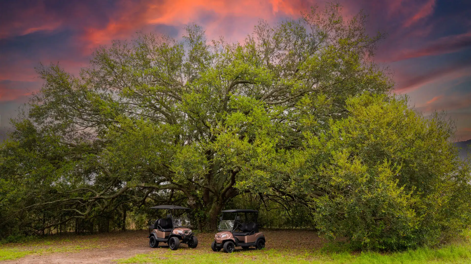 sunrise special edition golf cart scenic view 2 1920x1080 webp