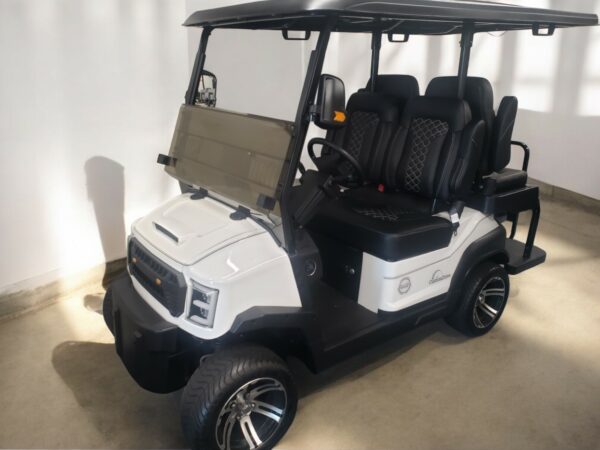 2025 Custom Drive C-4 2+2 Lithium - Image 3