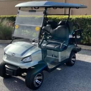 2025 Alset GM - Lithium