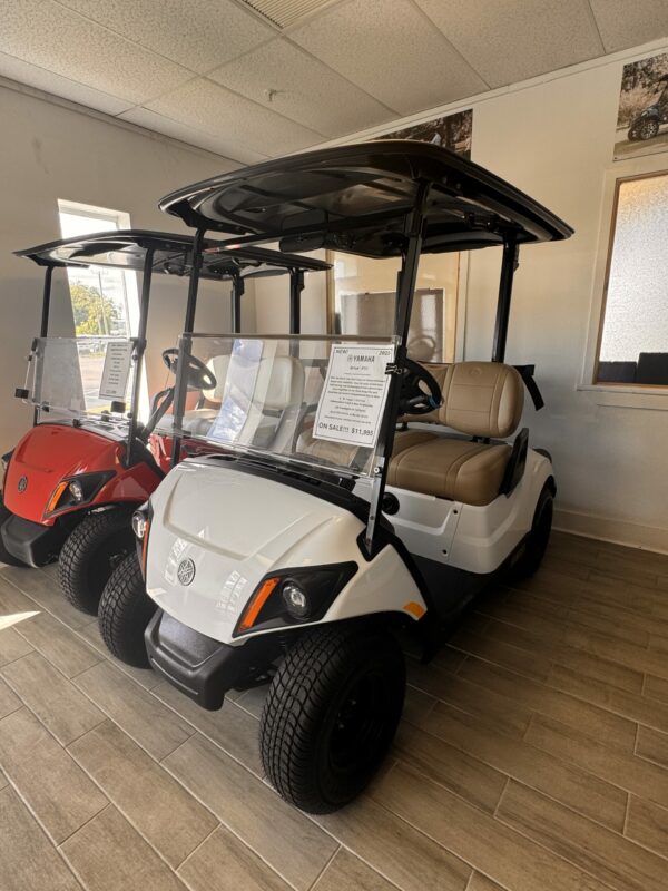 2025 Yamaha Drive2 PTV 2 Passenger - Electric